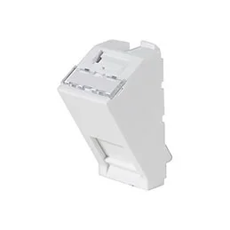 Plastron 22,5X45 incline 30° pour 1 port RJ45