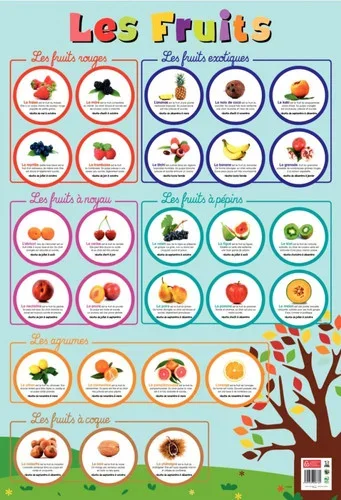 Poster Pédagogique en PVC 76x52cm – Thème Les Fruits