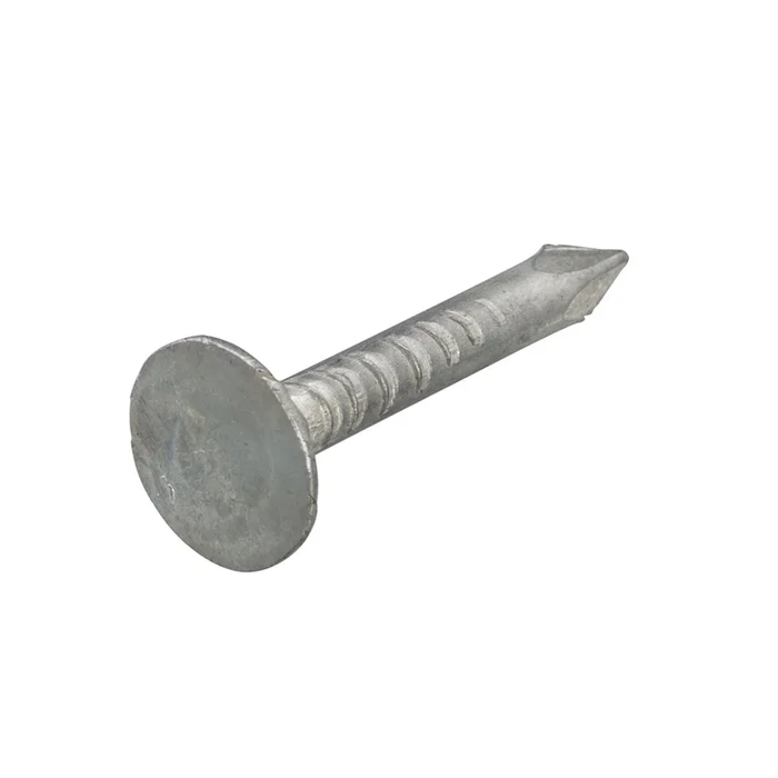 Proftec Clou pour asphalte VZ PK 3.0X25 – 1KG