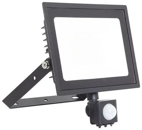 Projecteur Ansell Lighting, 50 W, IP44, 4 400 lm, avec détecteur
