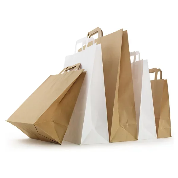 Sac kraft brun et blanc à poignées plates RAJA
