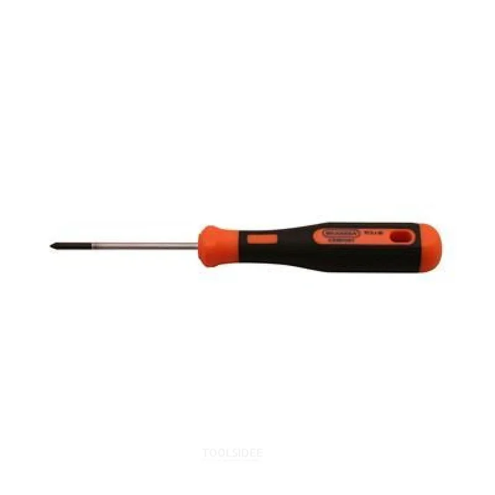 Tournevis Skandia 2C PZ 0 X 60