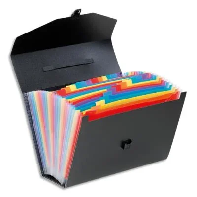 Valisette trieur en plastique Viquel Rainbow 24 compartiments – exterieur noir intérieur multicolore