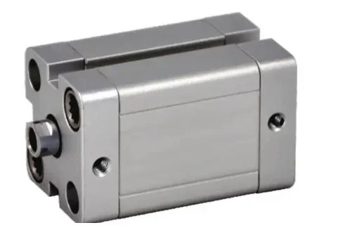 Vérin pneumatique profilé RS PRO Double Action , alésage de 25mm, course de 25mm Mâle M5