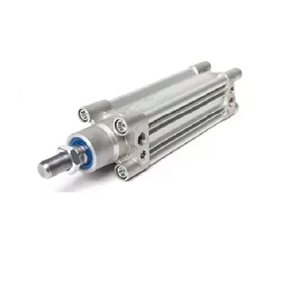 Vérin pneumatique profilé RS PRO Double Action , alésage de 40mm, course de 80mm Mâle G 1/4