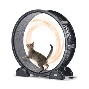 VEVOR Roue d’exercice pour chat avec podomètre 1038 mm pour la santé des animaux