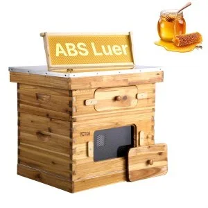 VEVOR Ruche d’abeilles, 20 cadres, bois de sapin enduit de cire d’abeille, 1 boîte profonde 1 moyenne, kit ruche Langstroth, fenêtres acrylique transparent fondations pour apiculteurs pro débutants
