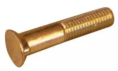 Vis tête fraisée deux ergots 14x70x34 mm